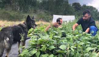 Contrechamps - À la recherche de terres agricoles