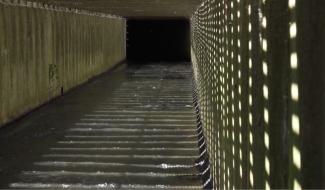Dans l'obscurité du pertuis de Gembloux