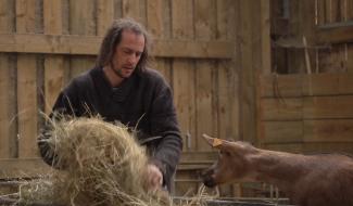 Contrechamps - Chèvres : de l'élevage au fromage