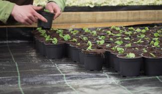 Contrechamps - Le printemps au jardin