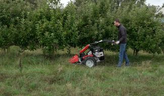 Fauchage différencié : une tendance pour les jardins