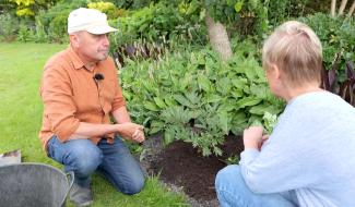Jardinage : comment bien planter en été ?