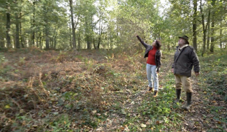 Histoires d'arbres - Le frêne