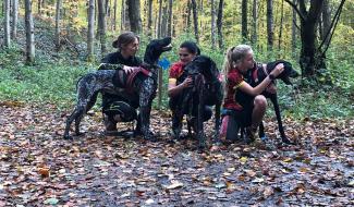 Les sportives brabançonnes à la pointe du canicross mondial