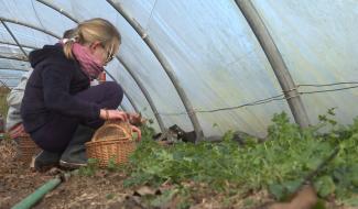 Congé de détente : un stage de nature et de cuisine