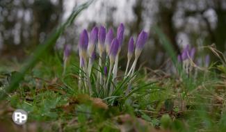 Entrez, c'est tout vert - Le printemps est à nos portes! Se remettre au travail dans le jardin