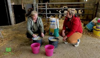 Agristories - A la ferme pédagogique Elaclaba à Petitvoir