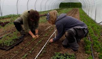 Le Potager des Possibles s'installe à Chastre : "Faire redécouvrir le goût des saisons"
