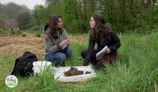Entrez, c'est tout vert - Jardin malin, sols vivants et biodiversité