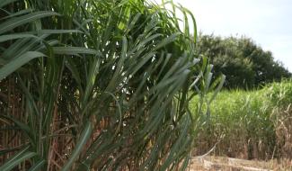 Perwez : des primes anti-inondations pour les agriculteurs