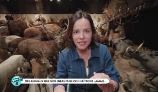 Y'a pas de planète B - Ces animaux que nos enfants ne connaitront jamais