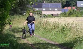 Sportive d'un jour : le canicross