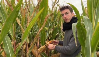 L'autosuffisance alimentaire peut être atteinte en Wallonie, selon une recherche menée à Gembloux Agro-Bio Tech