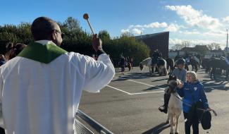 Saint-Hubert à Tourinnes-St-Lambert : les acteurs sensibilisent au bien-être animal