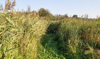 Natagora va gérer les "Sources de la Jette", la plus grande réserve naturelle de Gembloux