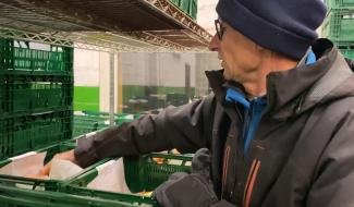 Agricovert : des paniers bio pour les femmes enceintes