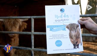 Le JT - Vendredi 5 décembre 2025