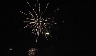 Feux d’artifice : comment protéger les animaux ?