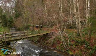 Au fil des saisons - épisode 3