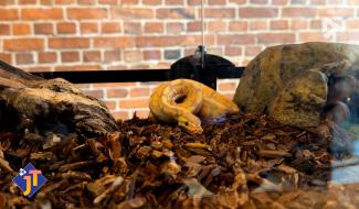 Le JT - Mardi 20 janvier 2026