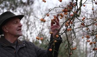 Momentum - Alain Peeters, fondateur de "Terres vivantes"