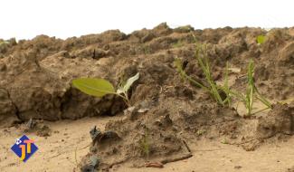 Le JT - Vendredi 13 février 2026