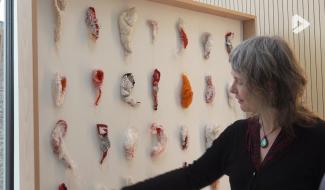 Plusieurs regards au féminin : une exposition entre liberté, corps et matière