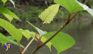 Le JT - Vendredi 27 février 2026