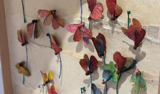 Une exposition pour sensibiliser à notre lien avec la nature à Gembloux