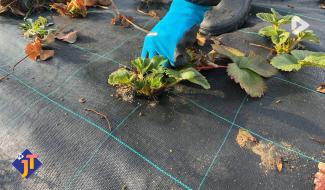 Le JT - Jeudi 12 mars 2026