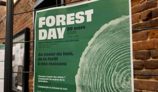 Le "Forest Day" : repenser le bois sous toutes ses dimensions