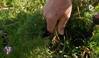 Le JT - Vendredi 20 mars 2026