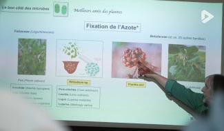 Walhain : les aînés à la découverte des microbes