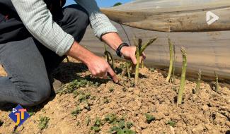 Le JT - Jeudi 23 avril 2026