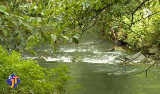 Le JT - Vendredi 24 avril 2026