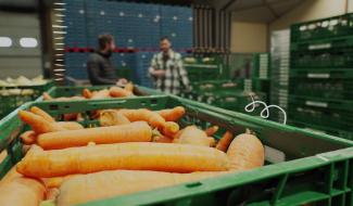 Juste le goût - Les petits gris de Namur