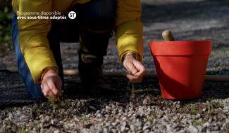 Entrez, c'est tout vert - Le désherbage écologique