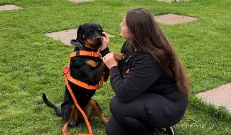 Sans Collier : une guinguette pour mieux comprendre les besoins des chiens