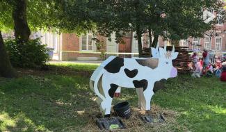 Ferme en ville : comment les animaux supportent-ils la chaleur ?