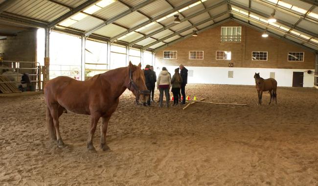 La ferme du Try Lambord se lance dans l'équicoaching