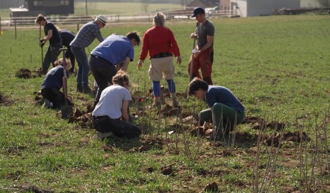 Ekikrok : Un chantier participatif au service de la biodiversité