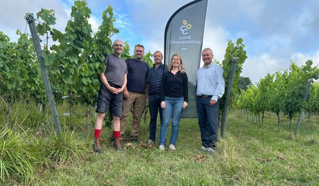 Une première cave coopérative viticole est née à Perwez