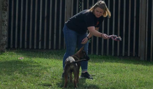 Sans Collier face à l’afflux d’animaux en été