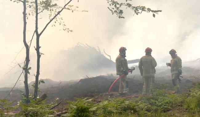 Préparer la Belgique aux feux de forêt : Gembloux Agro-Bio Tech collabore