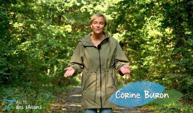 Au fil des saisons - épisode 2