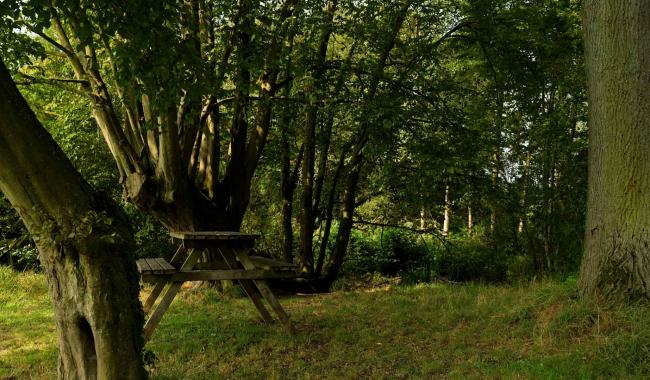Jugé dangereux, le bois du Castillon est fermé aux promeneurs pendant 5 mois