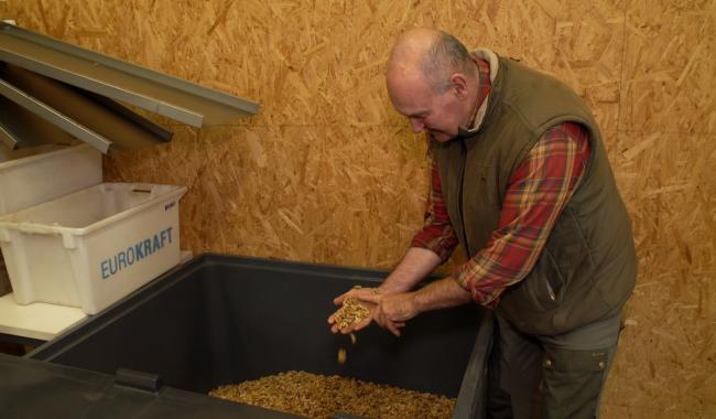 Nuciculture : une société franco-belge qui valorise la noix