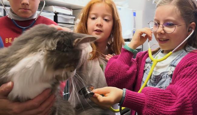 140 petits Gembloutois ont pu tester divers métiers