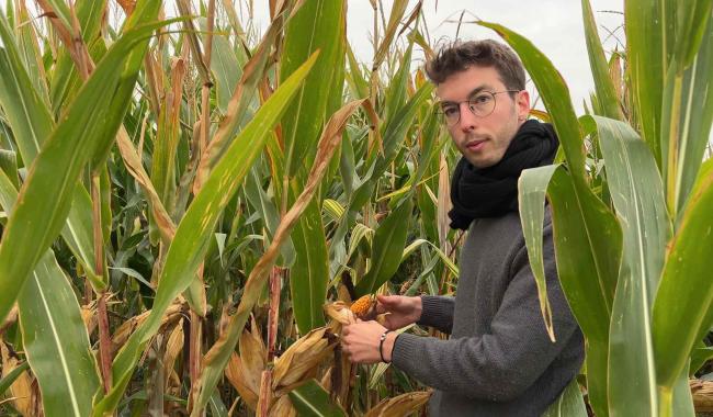 L'autosuffisance alimentaire peut être atteinte en Wallonie, selon une recherche menée à Gembloux Agro-Bio Tech