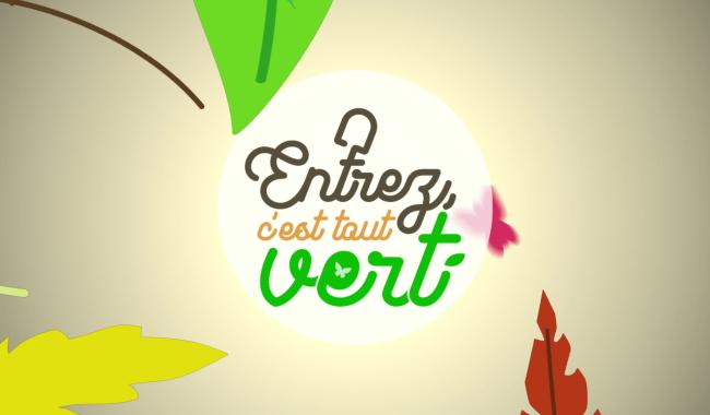 Entrez, c'est tout vert - Novembre, mois des plantations !